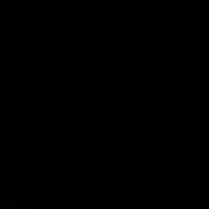 Meet your Posher, Eden